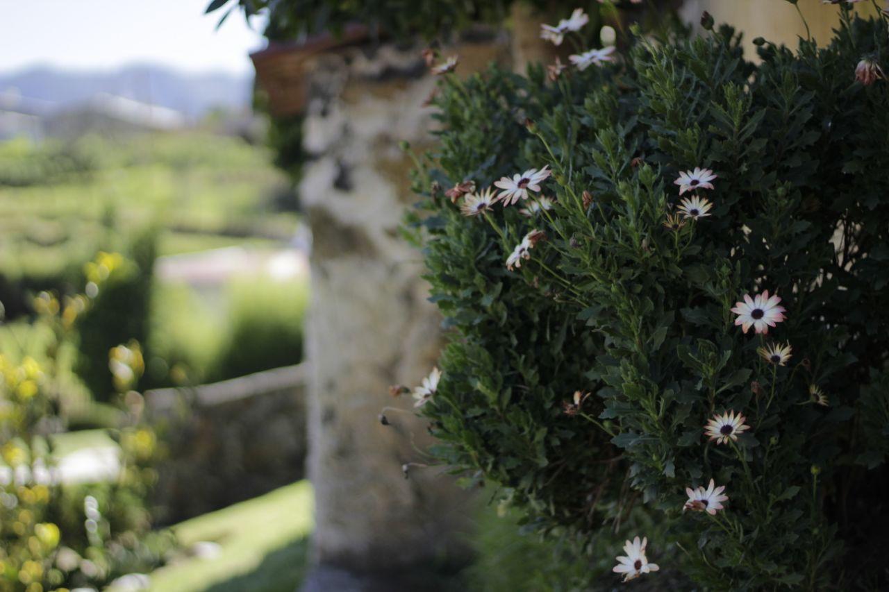 Hotel Y Cabanas Una Cosita De ซากัตลัน ภายนอก รูปภาพ
